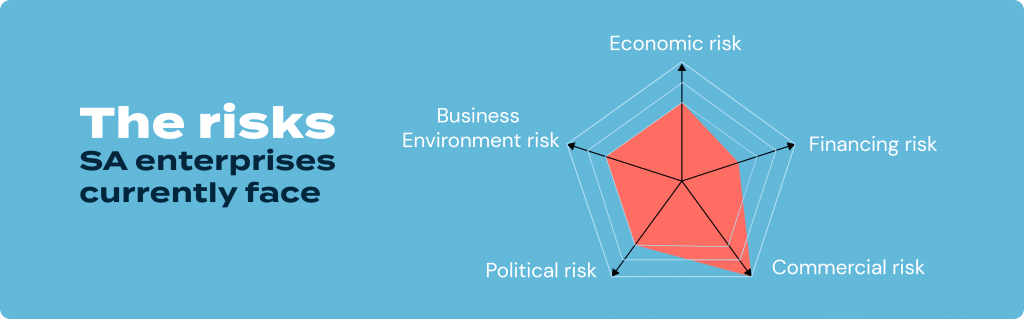 The risks SA enterprises currently face 